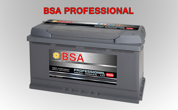 BSA Batterien Bilder