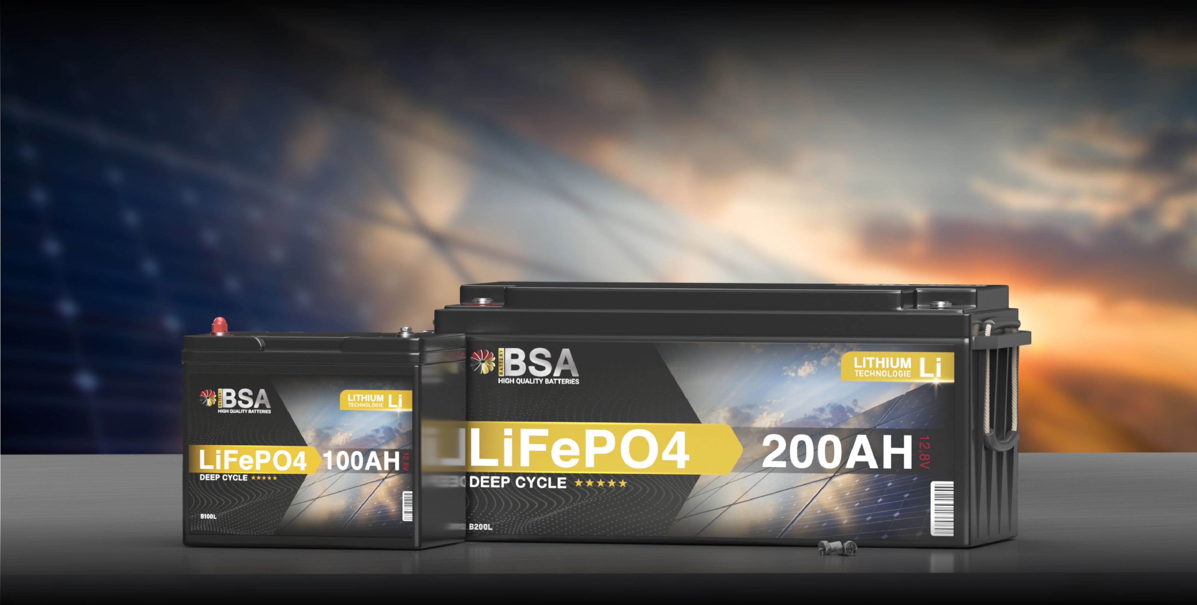 Lithium Batterien