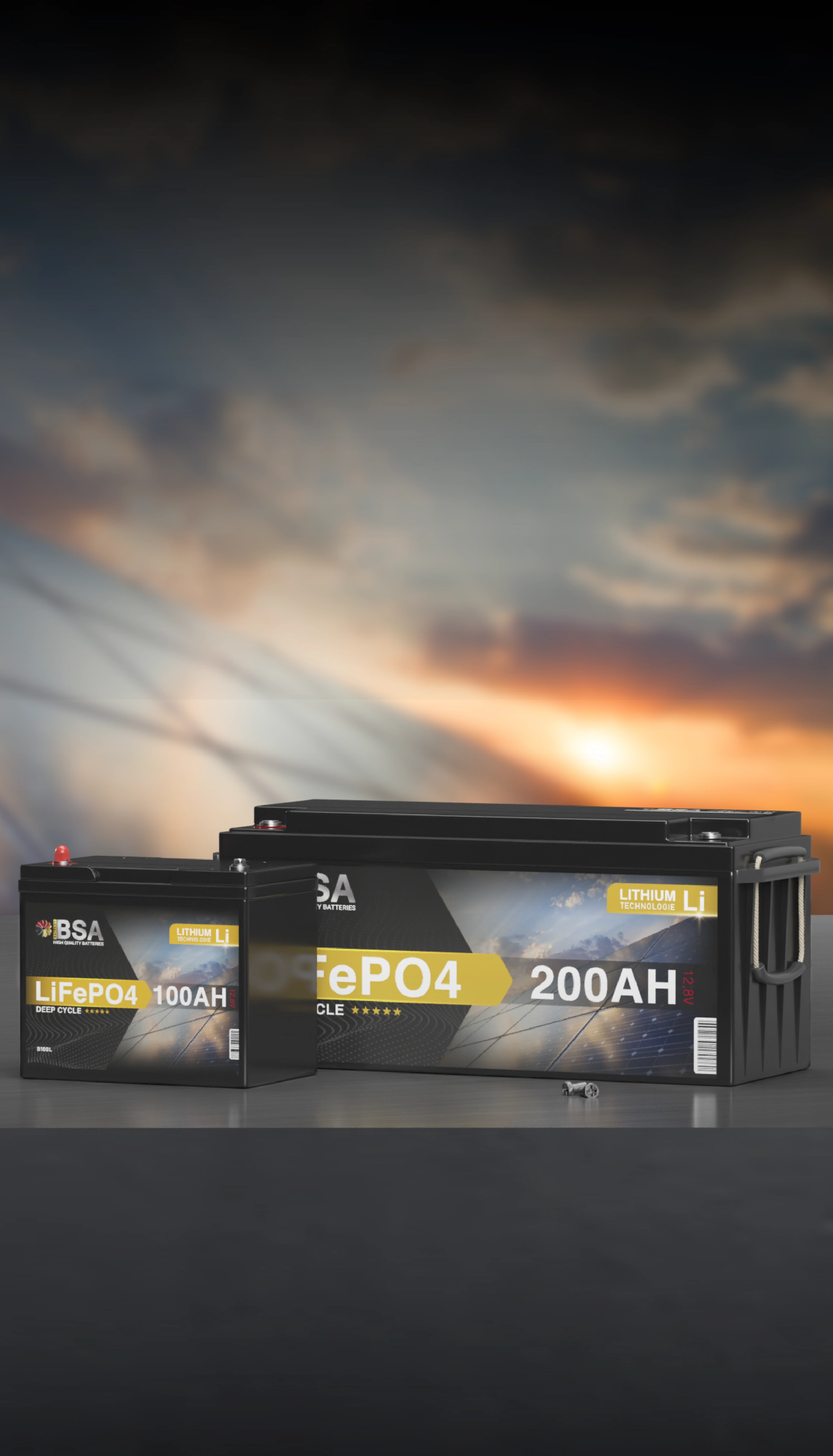 Lithium Batterien