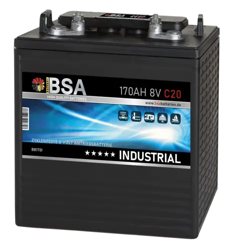BSA Industrial Antriebsbatterie 8V 170Ah