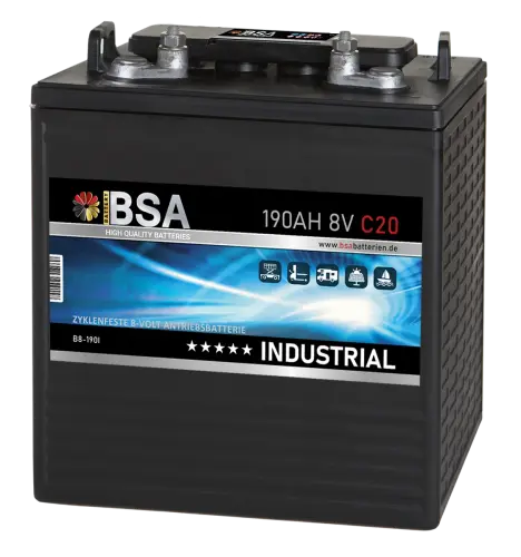 BSA Industrial Antriebsbatterie 8V 190Ah