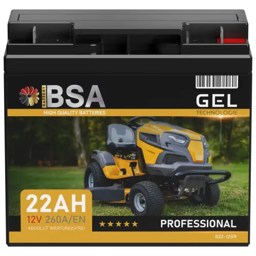 BSA Gel Rasentraktor Batterie 22Ah 12V