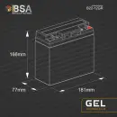 BSA Gel Rasentraktor Batterie 22Ah 12V